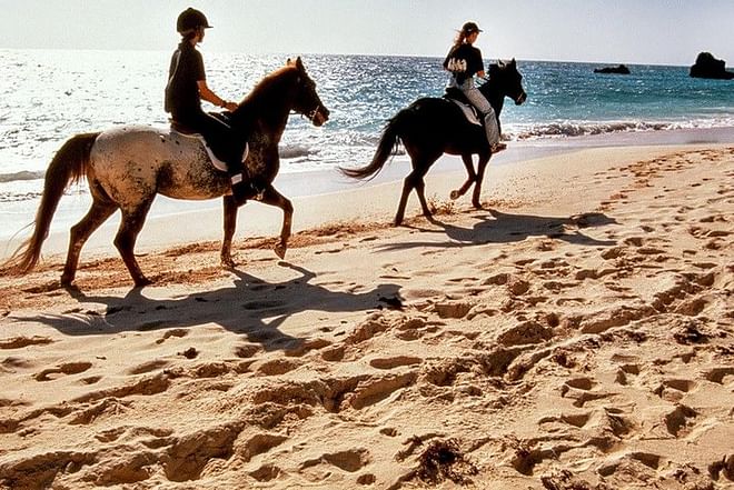 Krabi Horse Riding Program