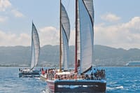 Montego Bay Private Afternoon Catamaran Open Bar and Snorkeling 8