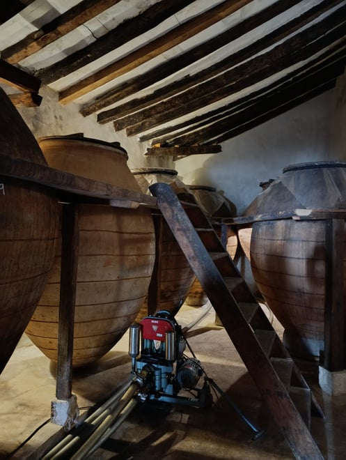 Madrid Wine Experience: Winery Tour & Lunch in Chinchón - Photo 8