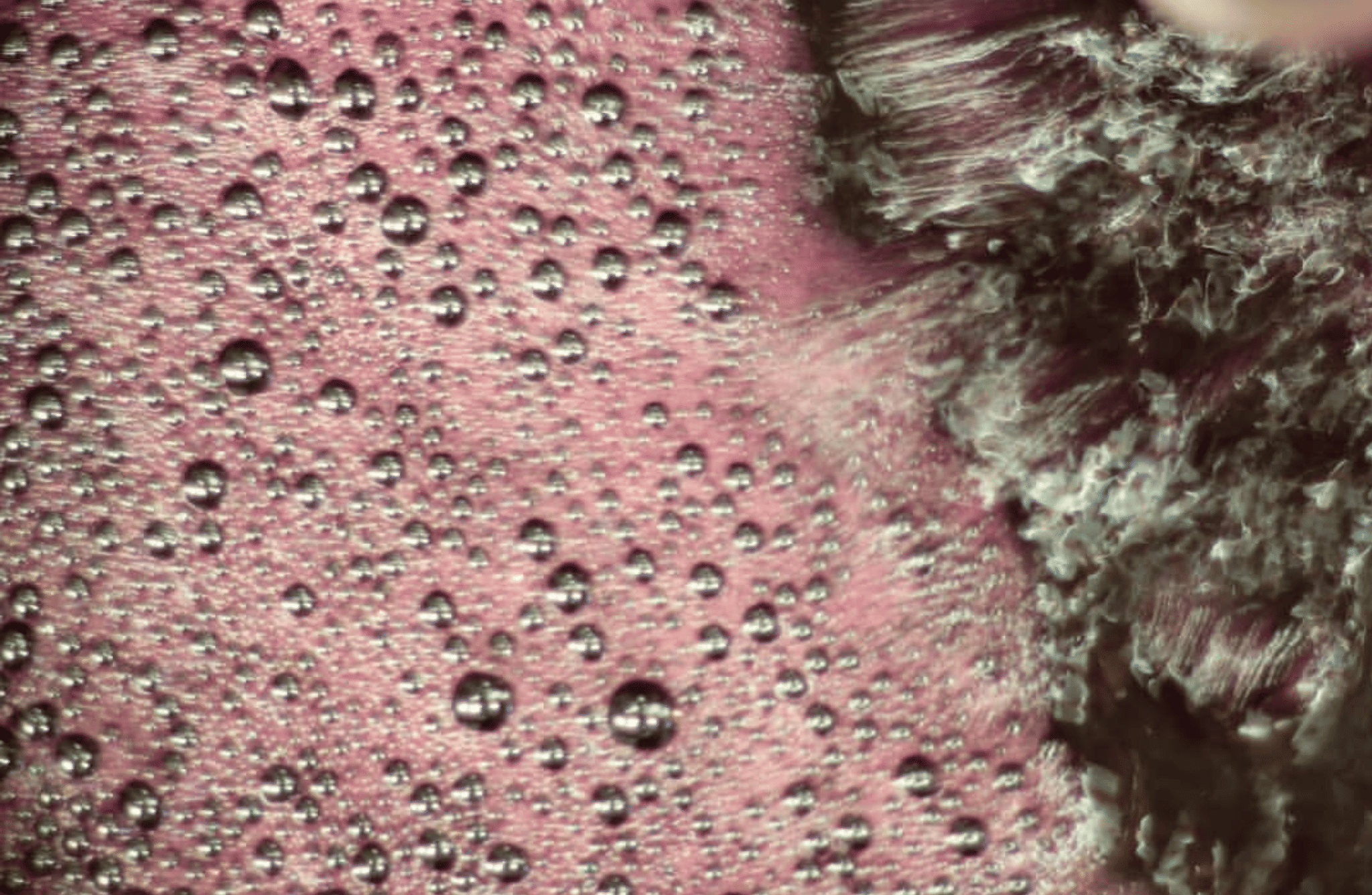 Boutique Winery Tour & Tasting in North Tuscany