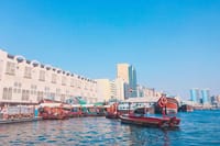 Dubai by Night: Private City Tour with Dubai Fountain Show 9