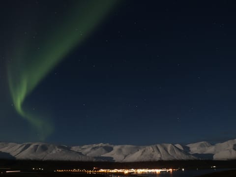 Forest Lagoon & Northern Lights, photo 2