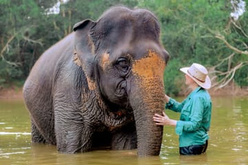 Phuket: Ethical Elephant Sanctuary Experience