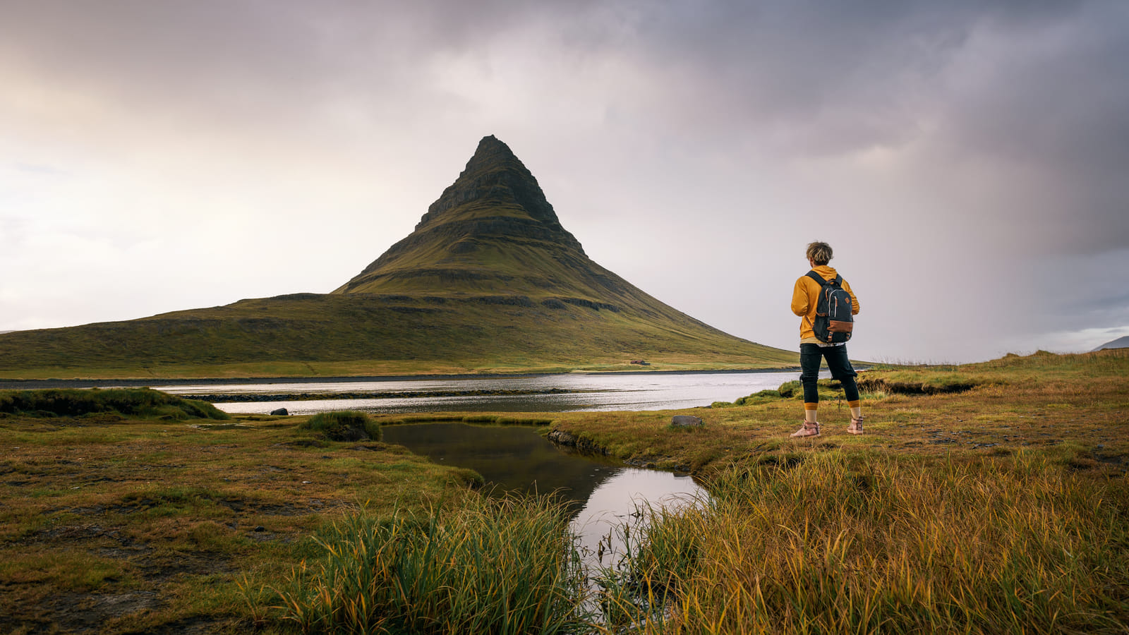 Snæfellsnes Peninsula in a small group tour with home-cooked meal included