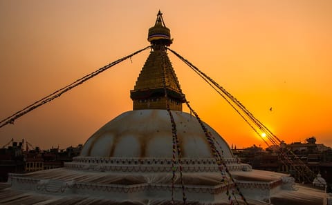 Wildlife and Culture Tour in Bharatpur and Kathmandu