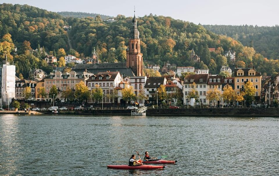 Heidelberg and Mannheim Day Trip from Stuttgart with Guide