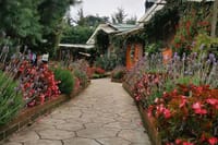 Iximche Archeological Site + Nature, Canopy & Go Karts - Families Favourite Tour 9