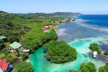 Roatan Mangrove Tunnel Cultural Tour from Jonesville