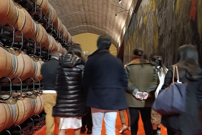Rioja Day Tour: Explore Three Wineries with Tastings - Photo 1