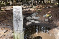 Self Guided GPS Audio Driving Tour Acadia NP From Hulls Cove VC 5