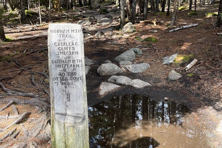 Self Guided GPS Audio Driving Tour Acadia NP From Hulls Cove VC 5