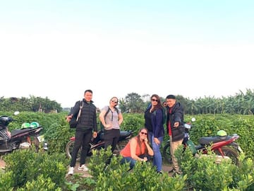 Best Hanoi Motorbike Tour: Local Guide, City Center & Countryside