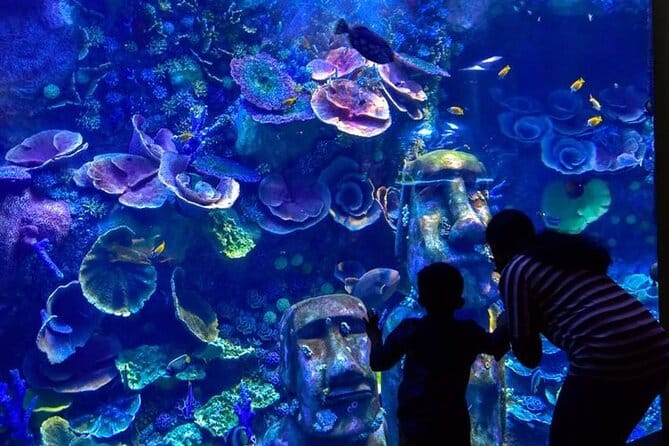 Abu Dhabi : The National Aquarium Aquatic Wonderland,