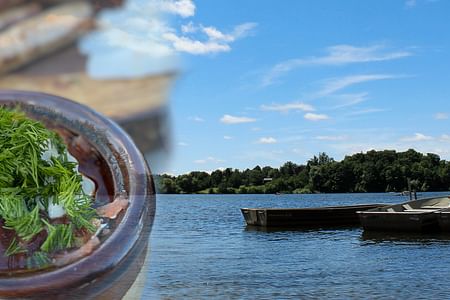 Culinary RV Adventure at Island Lake Conservation Area from Toronto