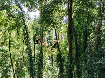 Ziplining Adventure in the Lush Landscapes of Thai Chang