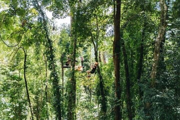 Ziplining Adventure in the Lush Landscapes of Thai Chang