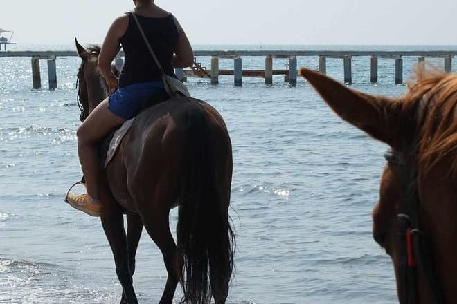 bodrum-horse-riding
