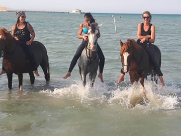 Horseback Riding Adventure with Meal in Hurghada