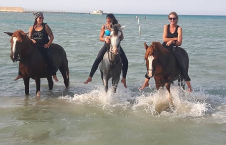 Horseback Riding Adventure with Meal in Hurghada
