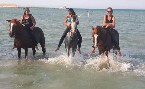 Horseback Riding Adventure with Meal in Hurghada