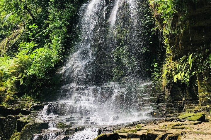 Discover Nature of Bali