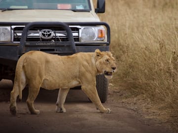6 Day Tanzania Big Five safari