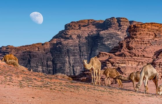 Jordan Pass 3-Night Jordan Private Tour: Petra, Wadi Rum, and the Dead Sea