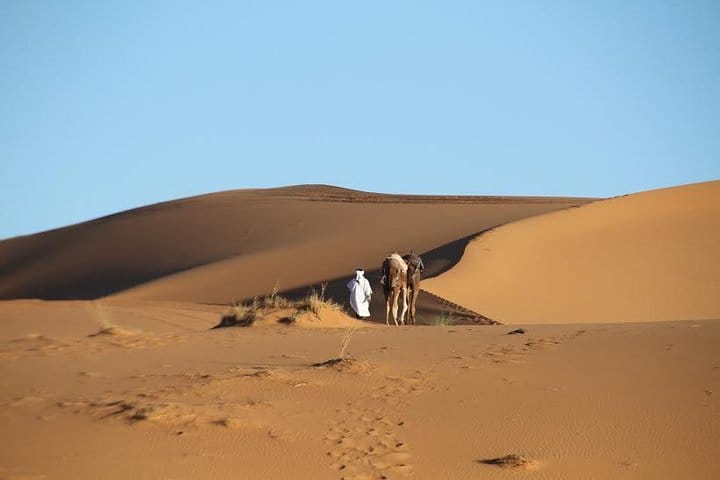 Private 5 Days Trip To Merzouga Desert From Casablanca Via Fez