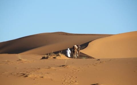 Private 5-Day Merzouga Desert Tour from Casablanca