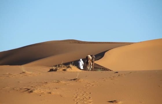 Private 5 Days Trip To Merzouga Desert From Casablanca Via Fez