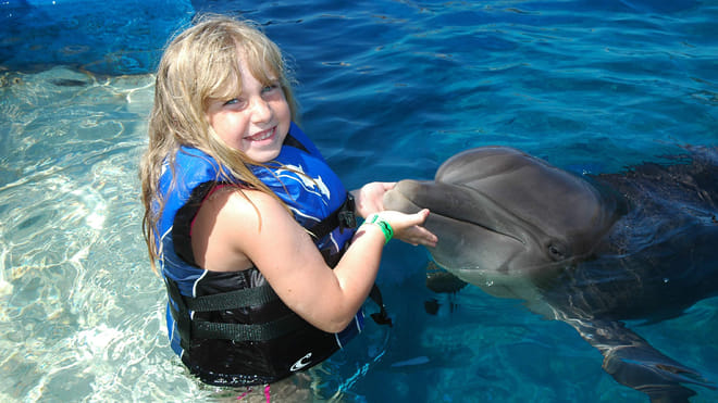 Dolphin Encounter at Marineland photo 2