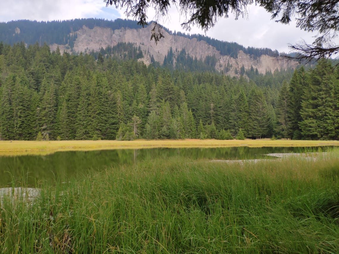 Privately Guided Tour around the Smolyan Lakes 6