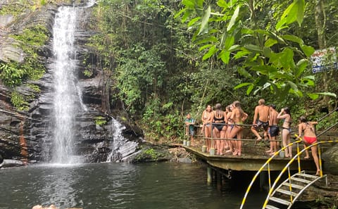 Rainforest Tour to a Waterfall in Belize's Cayo District