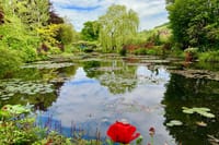 Monet's Lily Pond