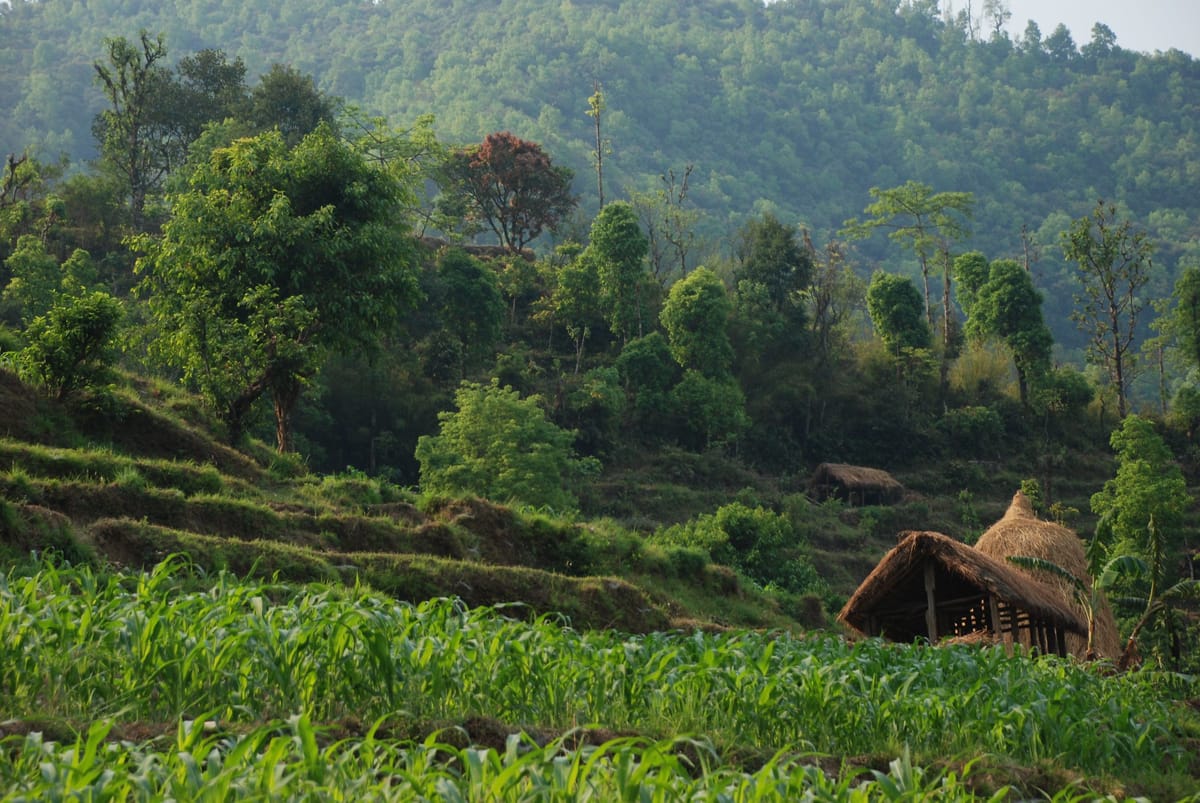 19 Days Mera Peak Climbing & Expedition – One Life-Changing Himalayan Adventure