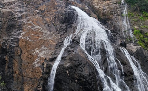 Dudhsagar Falls and Tambdisurla Temples Day Tour from Goa