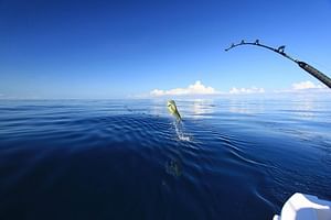 Fishing & Snorkeling By Speed Boat Tour (Semi Private) - Hurghada