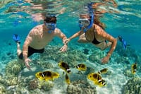 Prison Island & The Love Island - Full Day Tour in Zanzibar 2
