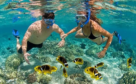 Prison Island and Nakupenda Island Full Day Tour in Zanzibar