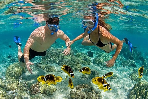 Prison Island & The Love Island - Full Day Tour in Zanzibar 2