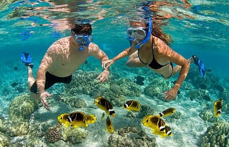 Prison Island and Nakupenda Island Full Day Tour in Zanzibar