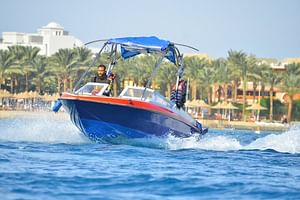 Private Speed Boat to DOLPHINS House & Water activities -HURGHADA