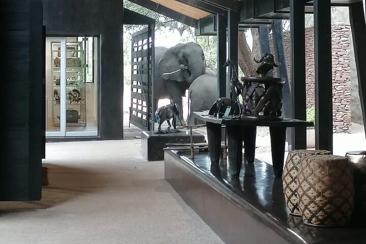 4-Day Birding in Murchison Falls National Park