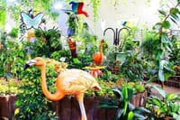 Dubai Butterfly Garden  9