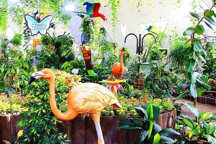  Dubai Butterfly Garden  9