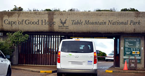 Private Tour: Table Mountain, Boulder's Penguins & Cape Point from Cape Town