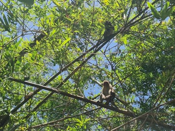 U Minh Thuong National Park Nature and Wildlife Tour