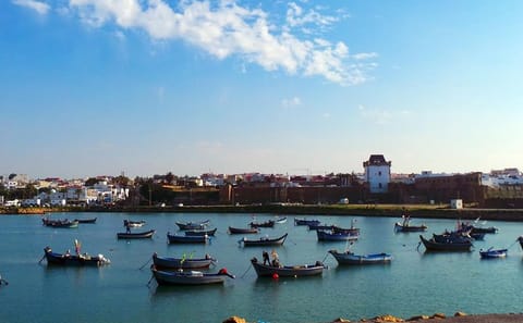 Asilah Coastal Tour from Tangier with Private Guide