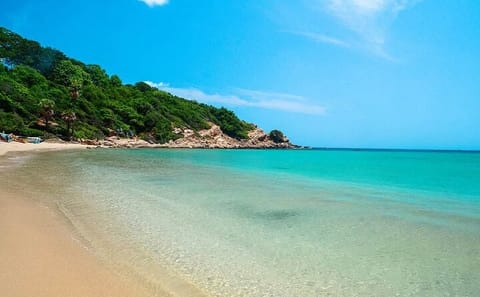 Trincomalee and Nilaveli Beach Tour from Dambulla