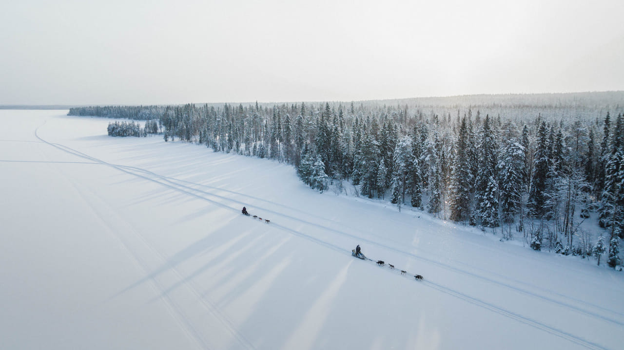 Self-Driving Husky Tour 7-kilometers 7